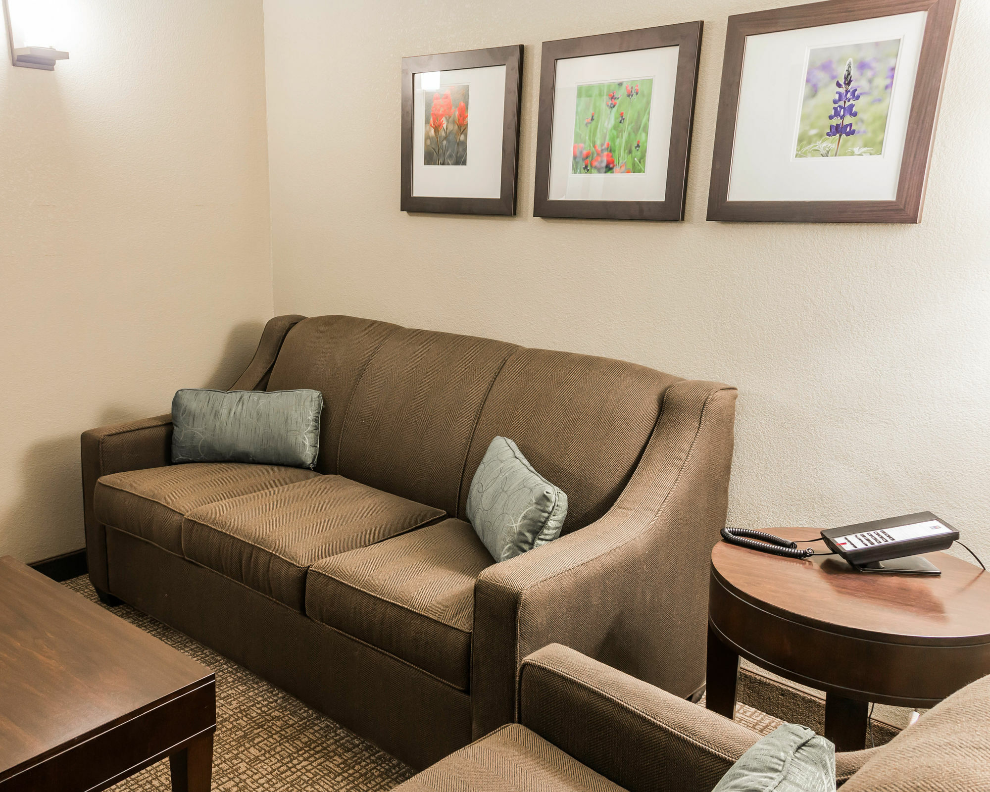 Comfort Inn&Suites Pharr/McAllen Exterior foto